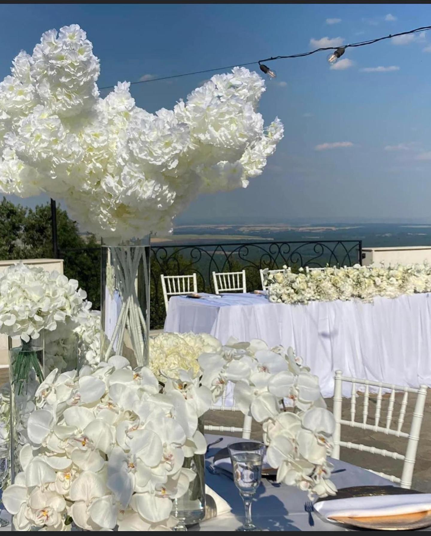 Вила Белисима, Villa Bellissima Bryastovo  Esterno foto